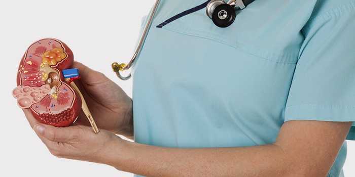 Все больные диабетом подвержены риску почечного повреждения