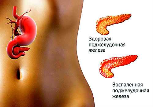 желудочно-кишечный тракт