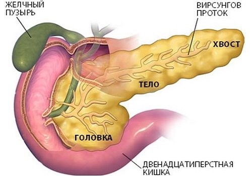Здоровая поджелудочная железа