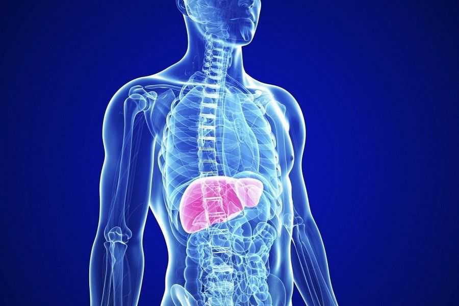 Жировая дистрофия печени