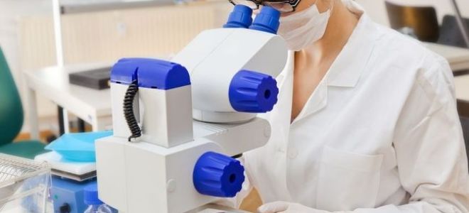 Изменения кала при развитии панкреатита