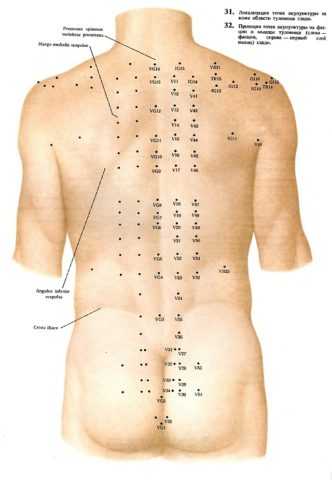 Акупунктурные точки для повышения потенции Акупунктурные точки для повышения потенции