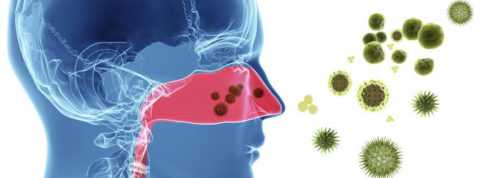 Аллергическая реакция