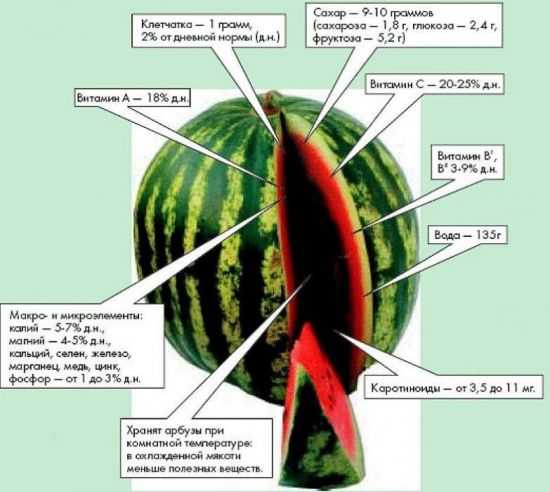 Состав арбуза