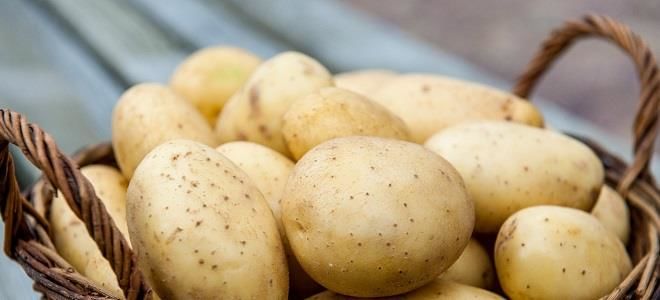 Правила употребления картофеля при панкреатите: безопасные рецепты