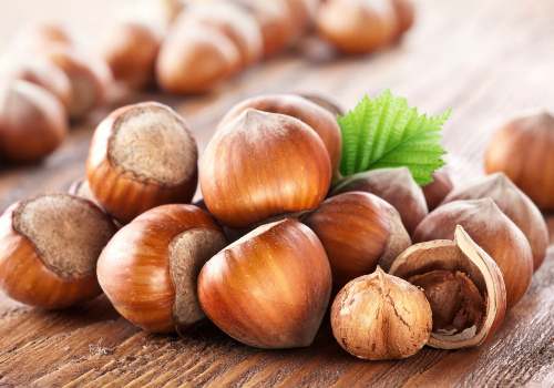 свежий фундук