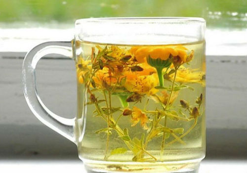 отвар растения