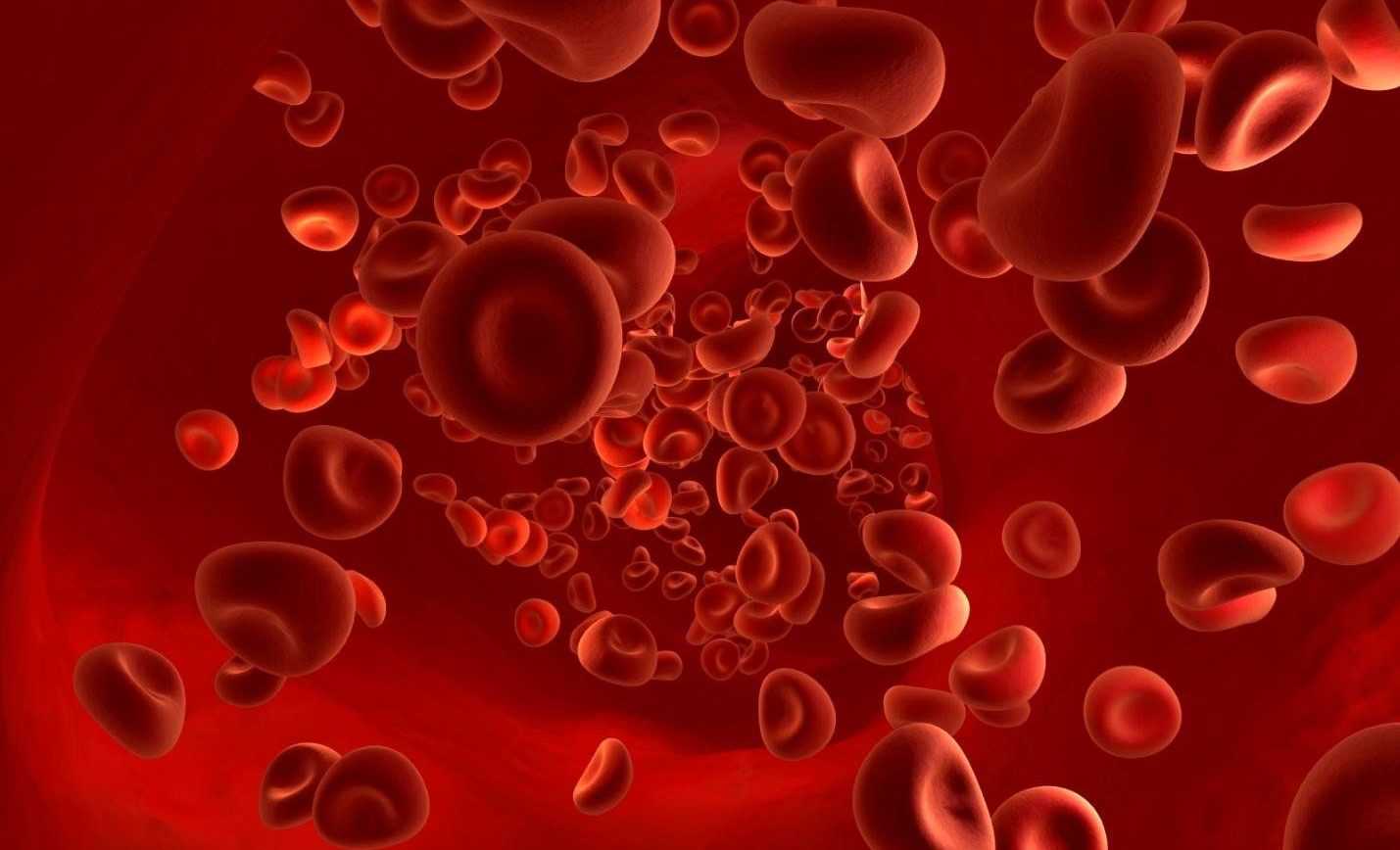 биохимический анализ крови