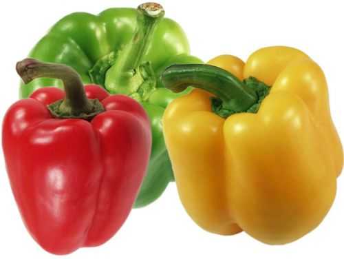 Болгарский перец