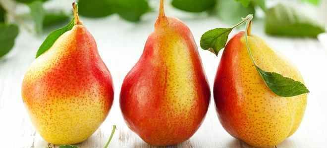 Употребление груш при панкреатите: можно или нет?