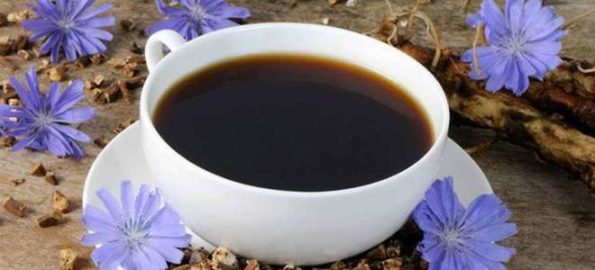 Цикорий: можно ли пить при панкреатите?