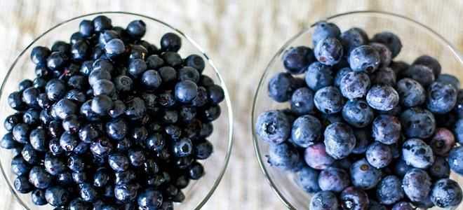 Чем полезны черника и голубика при панкреатите?