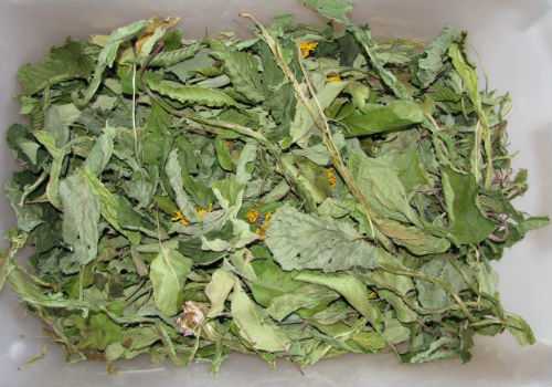 сушеный одуванчик