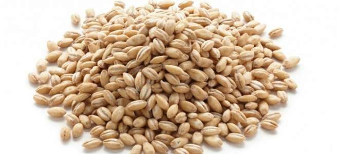 Можно ли есть перловку при панкреатите?