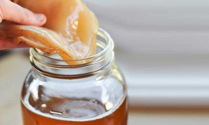 чайный гриб при диабете