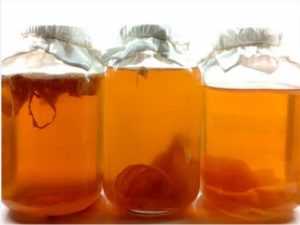 чайный гриб при диабете