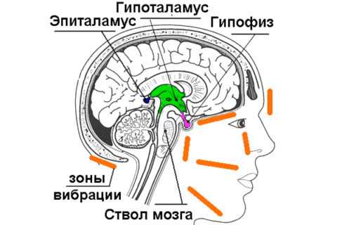 Чаще всего проблема имеет центральный генез