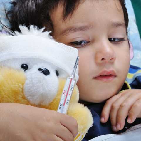 Частые вирусные инфекции – причина развития диабета Частые вирусные инфекции – причина развития диабета