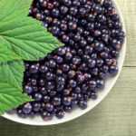 Черная смородина.