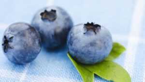 Черника при диабете