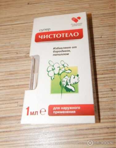 Чистотел. Чистотел.