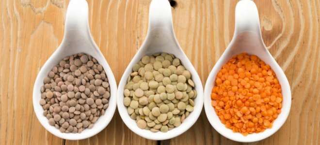 Чечевица при воспалении поджелудочной железы: польза или вред?