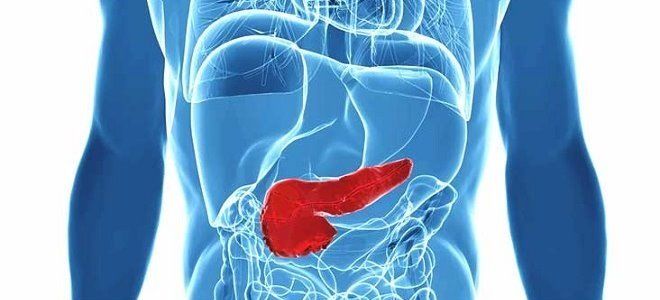 Причины увеличения поджелудочной железы, клиника и диагностика