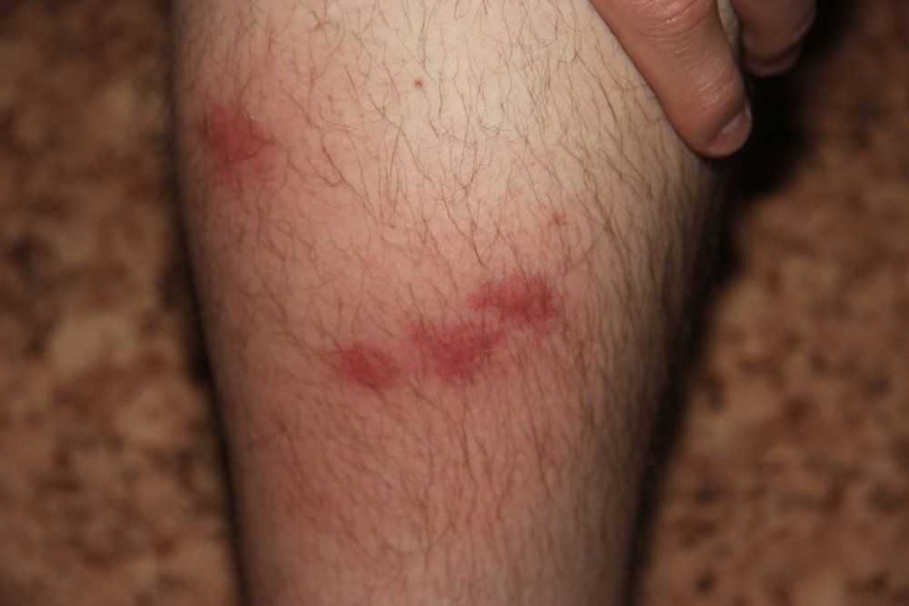 Диагностика