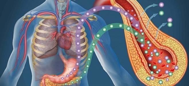 Клинические проявления и последствия гиперфункции и гипофункции поджелудочной железы