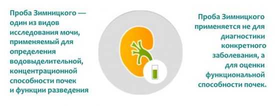 Проба Зимницкого