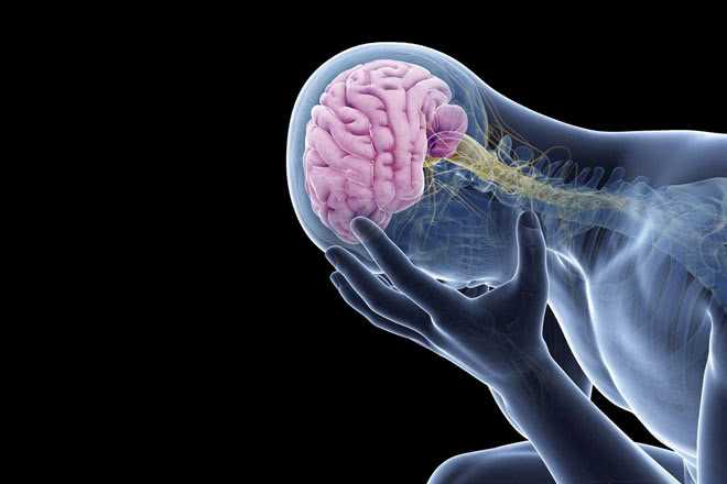 Сахарный диабет 3 типа