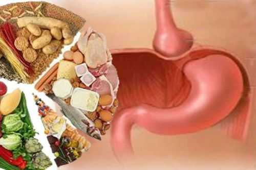 Диетическое питание