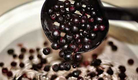 Для улучшения вкуса напитков и при приготовлении варенья и джема допускается добавление заменителей сахара — сорбит, ксилит