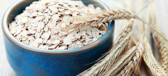 Лечение заболеваний поджелудочной железы при помощи овса