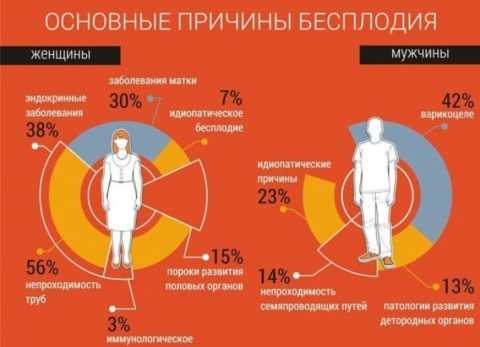 Эндокринные болезни – основные причины бесплодия при СД Эндокринные болезни – основные причины бесплодия при СД