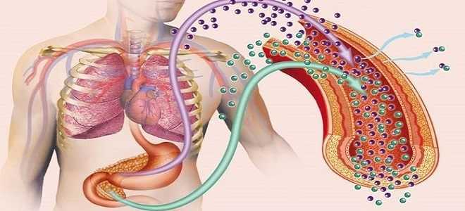 Чем лечить поджелудочную железу когда у вас сахарный диабет?
