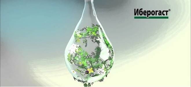 Как пить Иберогаст: дозировка и время приёма
