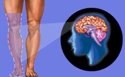 Фантомные боли Фантомные боли