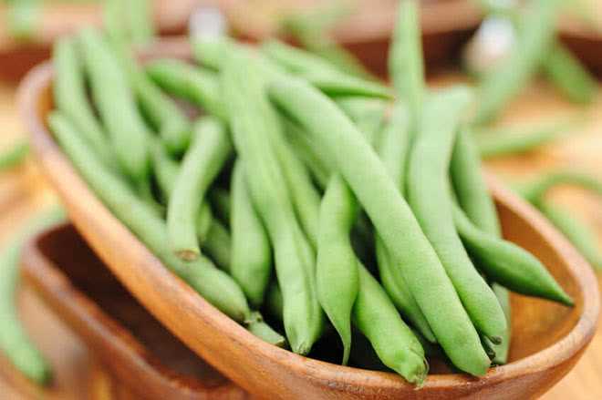 Фасоль при диабете