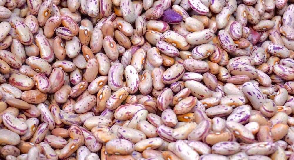 Состав, ГИ, БЖУ