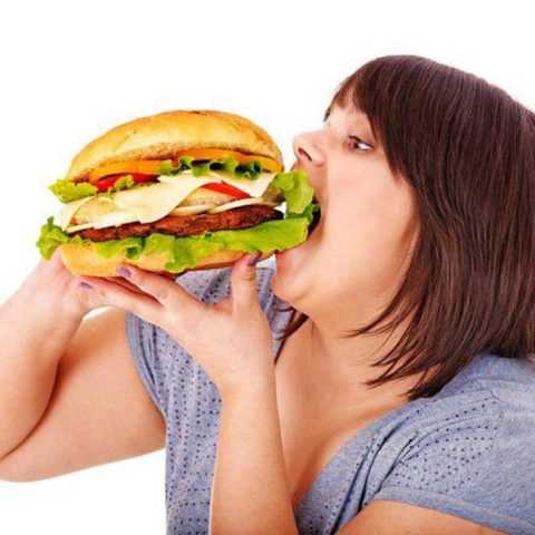 Фастфуд приносит огромный вред здоровью Фастфуд приносит огромный вред здоровью