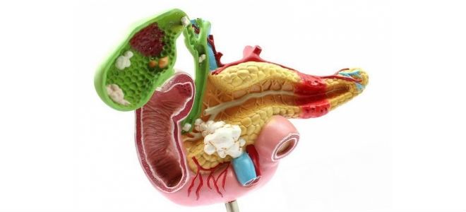 Как связан желчный пузырь с поджелудочной железой?