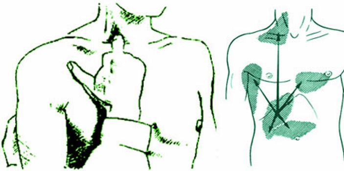 местоположение точки проверки френикус симптома