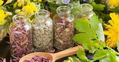 Лекарственные травы