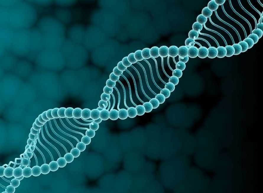 Миф № 2 — сахарный диабет передается по наследству