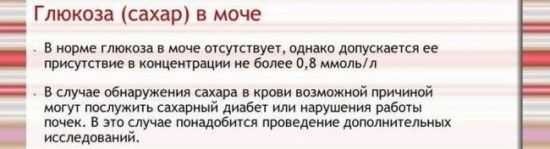 Сахар в моче