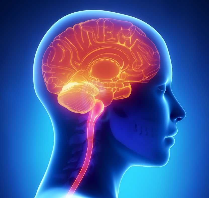 Диагностика