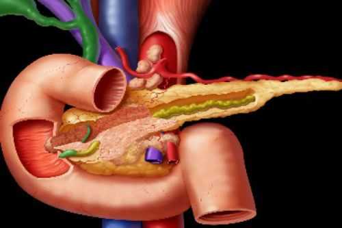 Поджелудочная железа