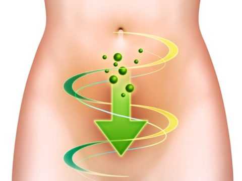 Грубые пищевые волокна необходимы для нормальной работы ЖКТ. Грубые пищевые волокна необходимы для нормальной работы ЖКТ.