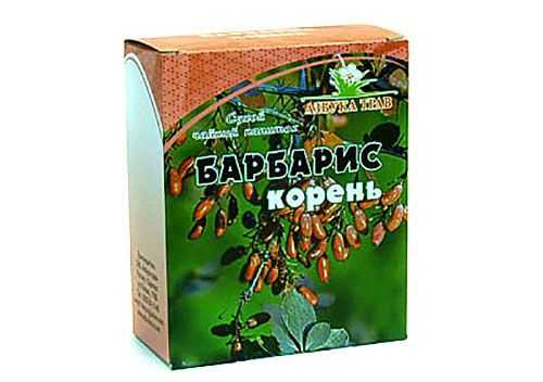 Корень барбариса